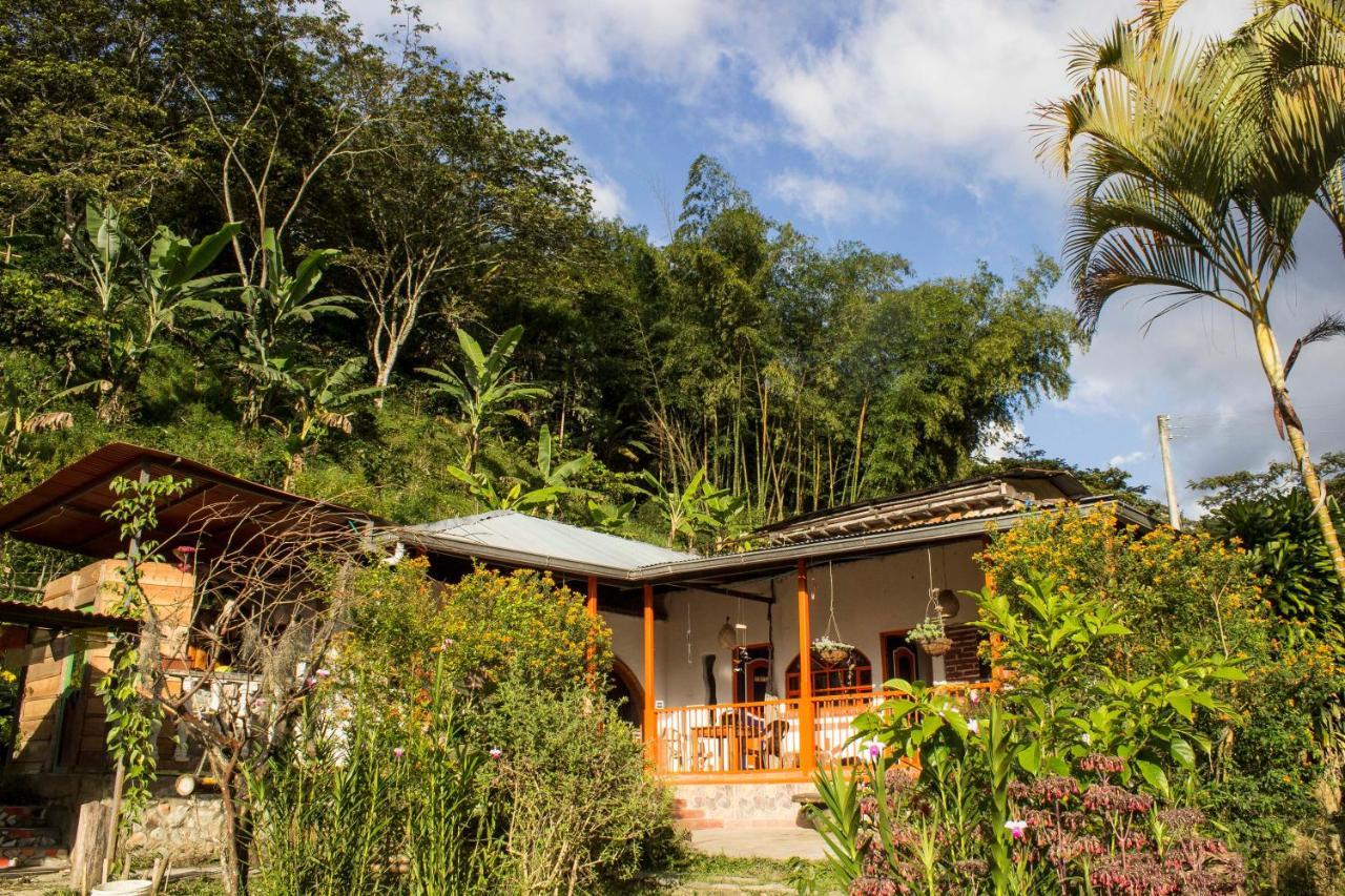 Habitacion Las Bromelias, Pijao, Finca Flora Del Rio Bed & Breakfast Exterior photo